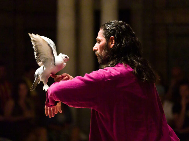 Bird - Selma et Sofiane Ouissi - © Pol Guillard